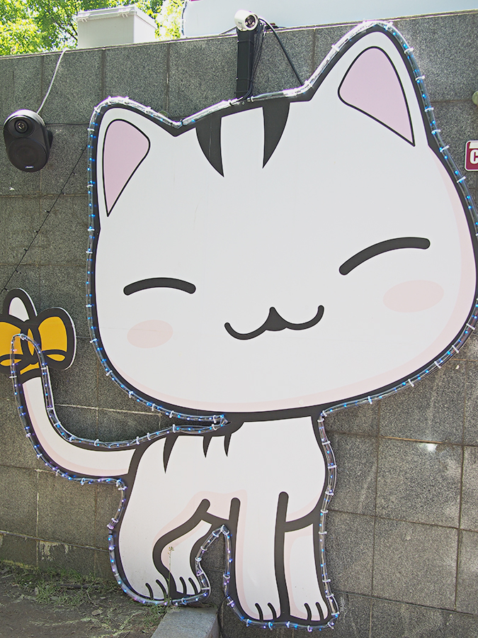 고양 꽃 박람회 2탄~ 관련 이미지 2