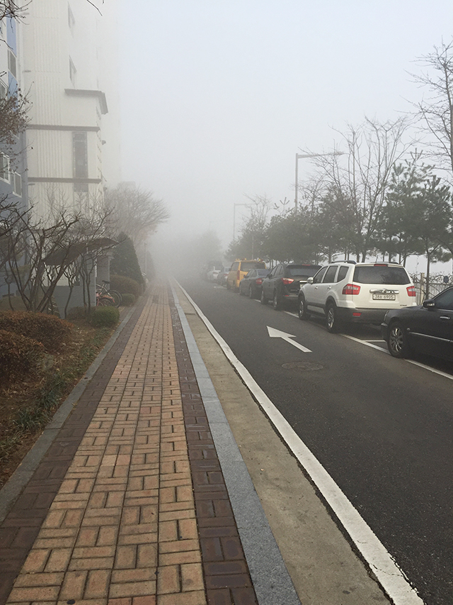 주말과 월요일아침과 허니버터칩 관련 이미지 4