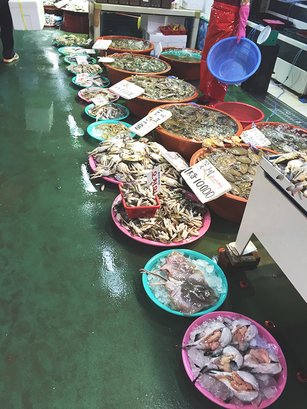 꽃게철이 왔다고 합니드아! (대명항 나들이) 관련 이미지 1