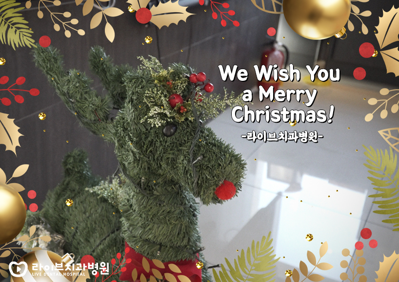 라이브 강남점에 먼저 찾아온 크리스마스 관련 이미지 5