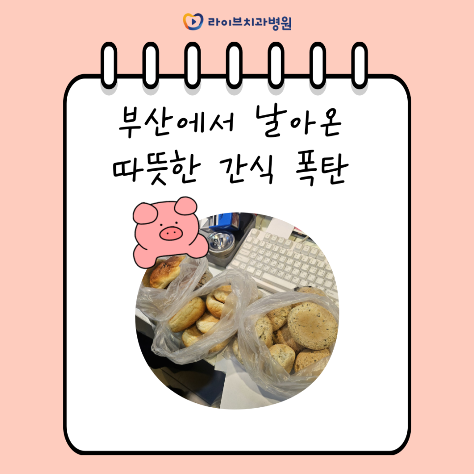 A Warm Snack Bomb That Flew in from Busan! image 1