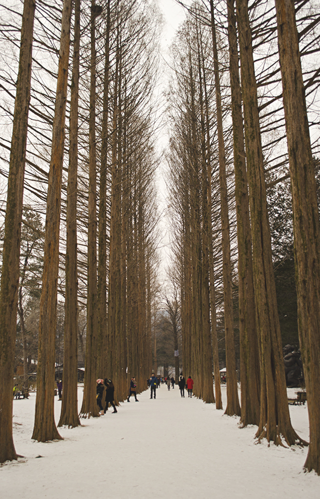엄군님께 이어받은 10문 10답! 관련 이미지 2