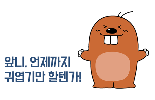 앞니부분교정, 자신감을 찾는 지름길 관련 이미지 2