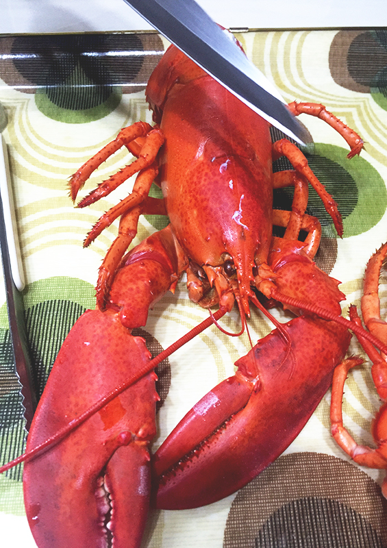 먹는 것밖에 모르는 며니의 홈메이드 랍스터 후기.. 관련 이미지 3