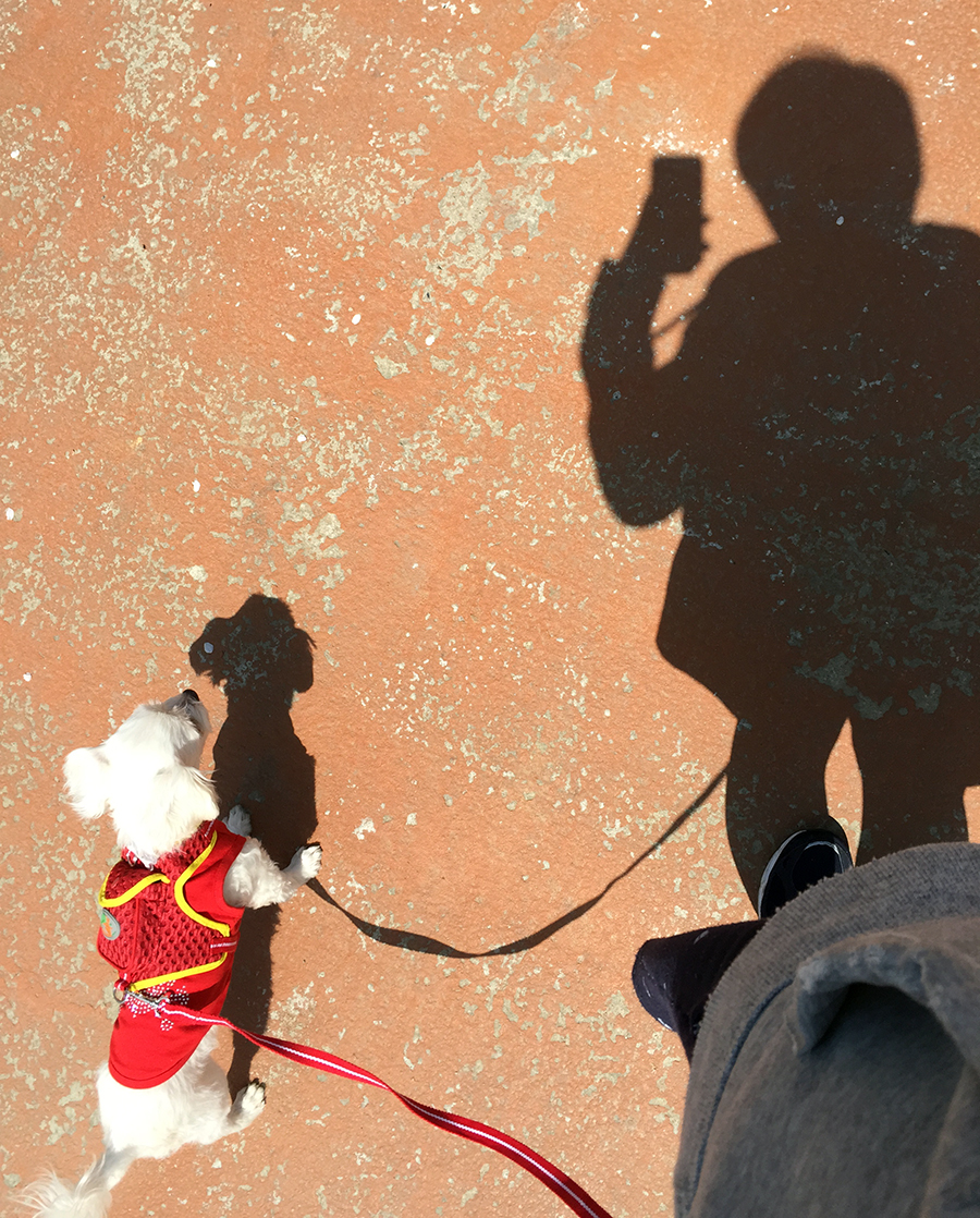 From. 블로그씨/ 산책코스 추천? 관련 이미지 3