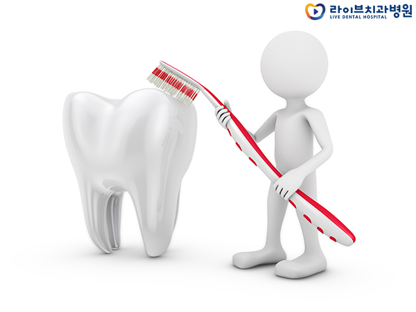 임플란트가격 요점을 파악하자 관련 이미지 2