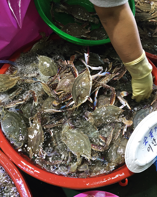 꽃게철이 왔다고 합니드아! (대명항 나들이) 관련 이미지 5