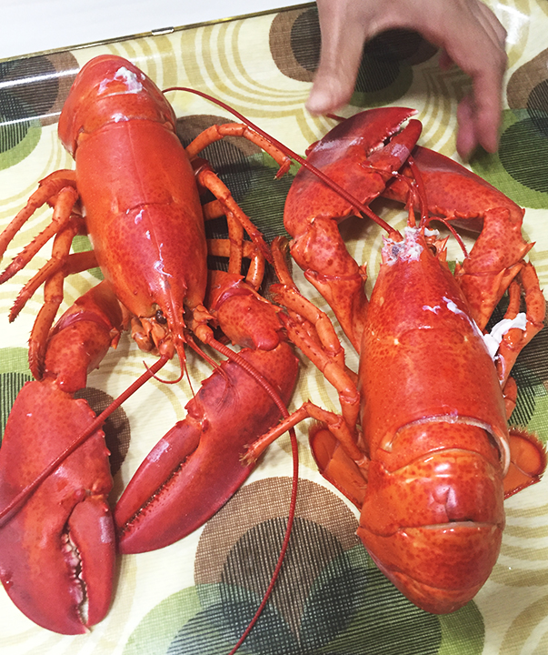 먹는 것밖에 모르는 며니의 홈메이드 랍스터 후기.. 관련 이미지 2