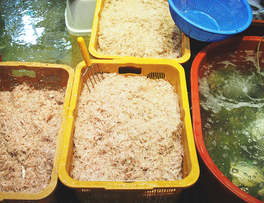 외포리에서는 새우젓 축제가 한창~ 새우파티! 관련 이미지 6