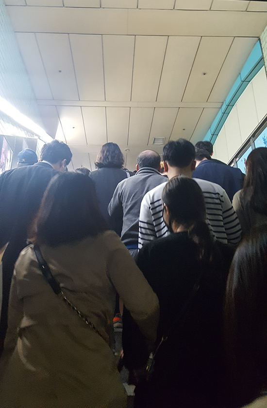 석촌호수 벚꽃축제를 처음으로 다녀왔습니다! 관련 이미지 2