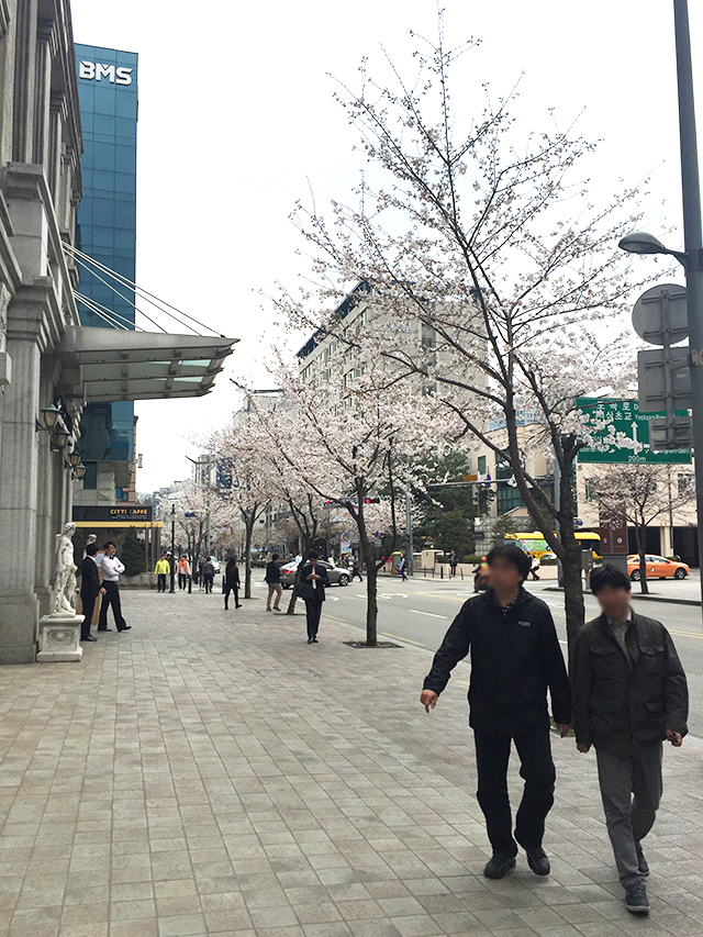 꽃과 식사와 또 식사... 관련 이미지 1