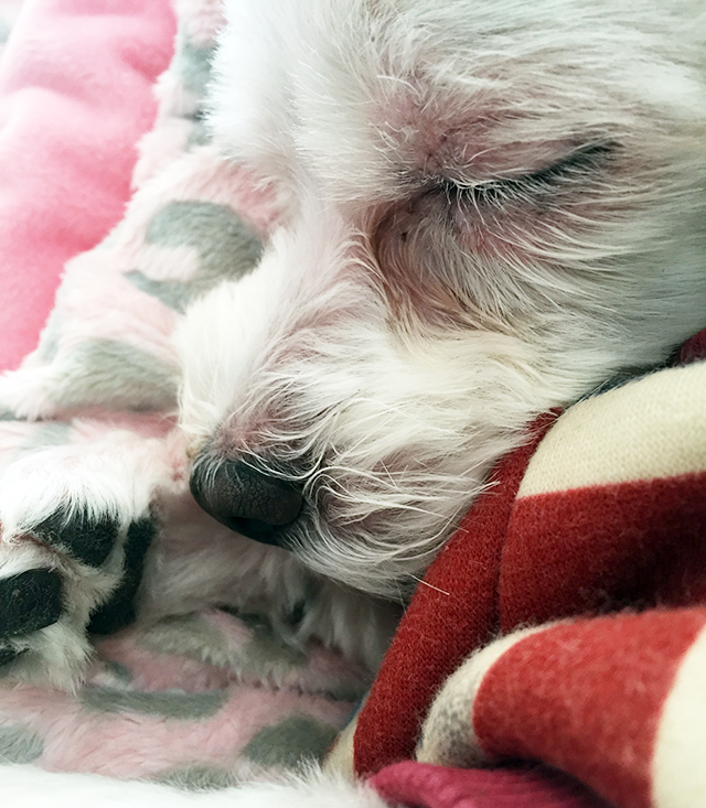 주말엔 아이라인과 빈둥빈둥 관련 이미지 2