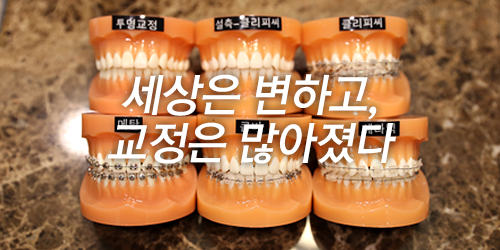 내구성과 비용을 잡는 메탈교정 관련 이미지 4