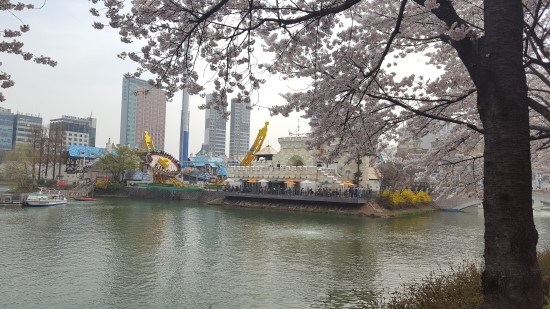 석촌호수 벚꽃축제를 처음으로 다녀왔습니다! 관련 이미지 4