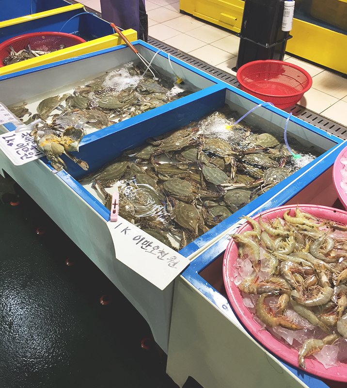 꽃게철이 왔다고 합니드아! (대명항 나들이) 관련 이미지 2