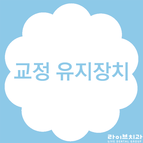 교정 유지장치가 치아교정의 완성도를 좌우한다? 관련 이미지 1