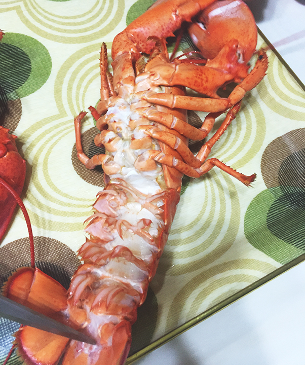 먹는 것밖에 모르는 며니의 홈메이드 랍스터 후기.. 관련 이미지 4