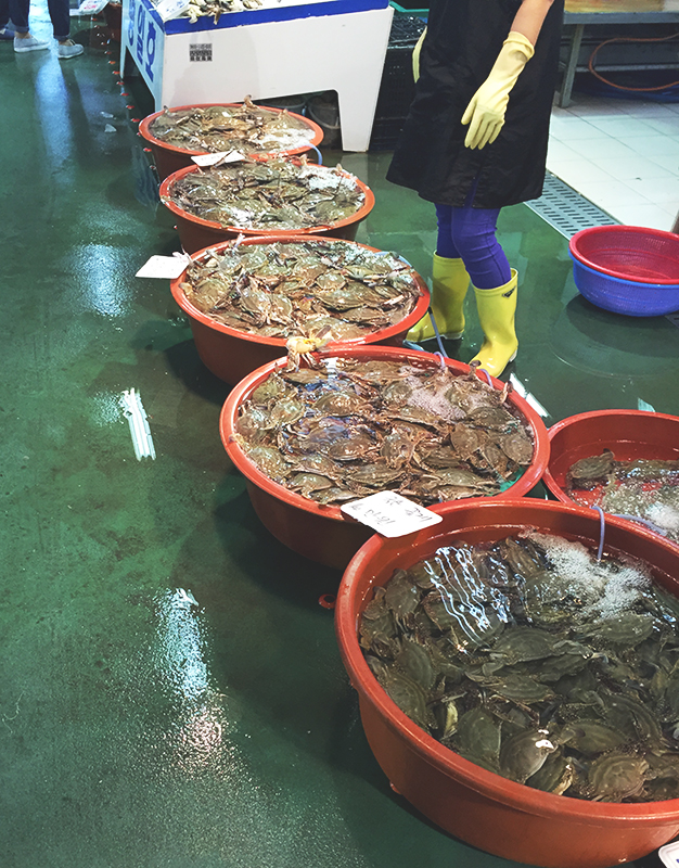 꽃게철이 왔다고 합니드아! (대명항 나들이) 관련 이미지 3