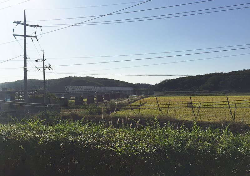성묘길에 들른 임진각! 관련 이미지 4