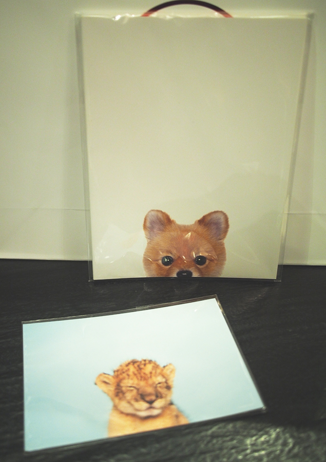 알베르에 탱크가 왔어욥! Thank you Store :) 관련 이미지 4