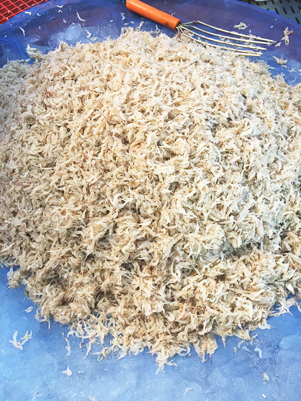 꽃게철이 왔다고 합니드아! (대명항 나들이) 관련 이미지 6