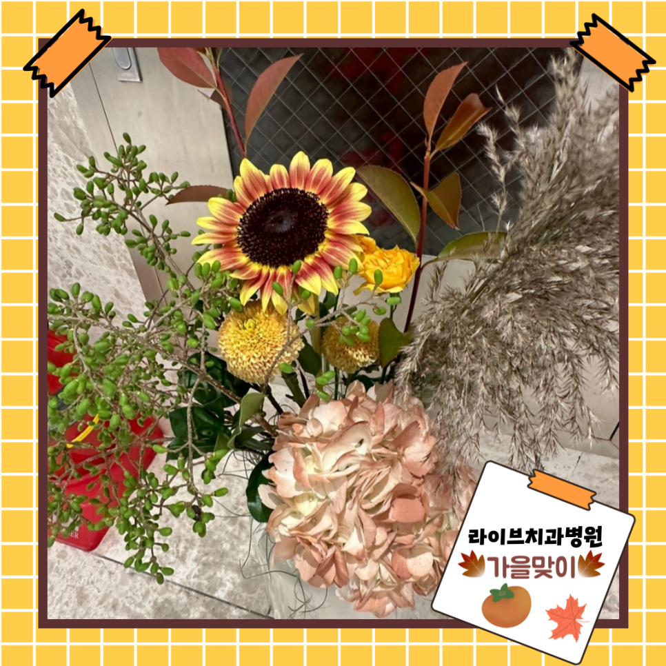 가을, 소나무 그리고 꽃, 라이브치과병원의 작은 변화! 관련 이미지 2