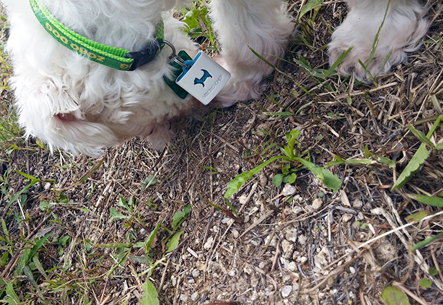 며니의 동생들을 소개합니다 관련 이미지 3