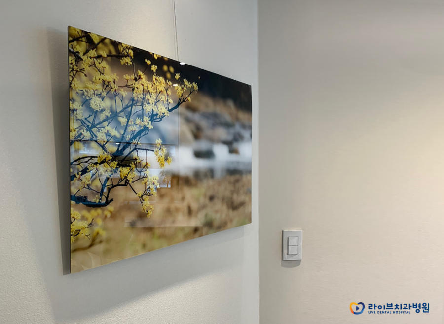 #봄#꽃#풍경#사진 전(展)｜라이브치과 부평예술인 후원캠페인 세번째 이야기 관련 이미지 5