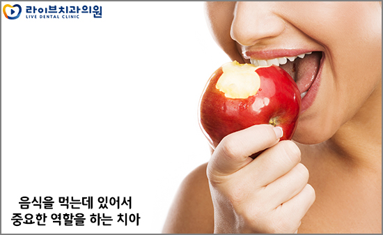 인천임플란트 잘하는곳 고민하고 계신가요? 관련 이미지 2