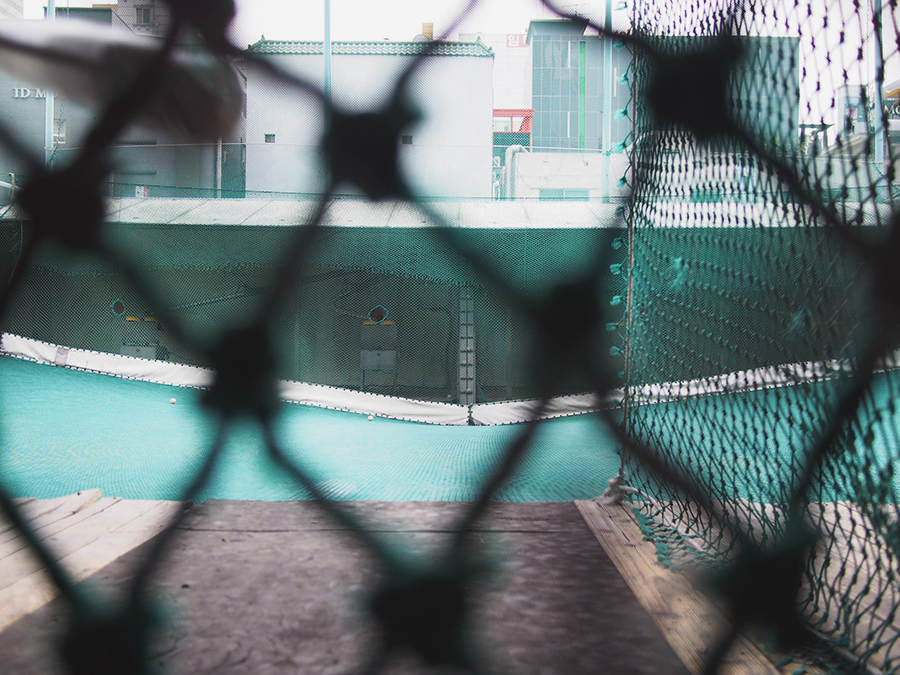 심심해서 올려보는 허니버터의 활약상과 그냥 일상 관련 이미지 4