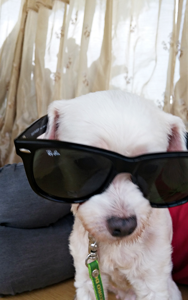 며니의 동생들을 소개합니다 관련 이미지 5