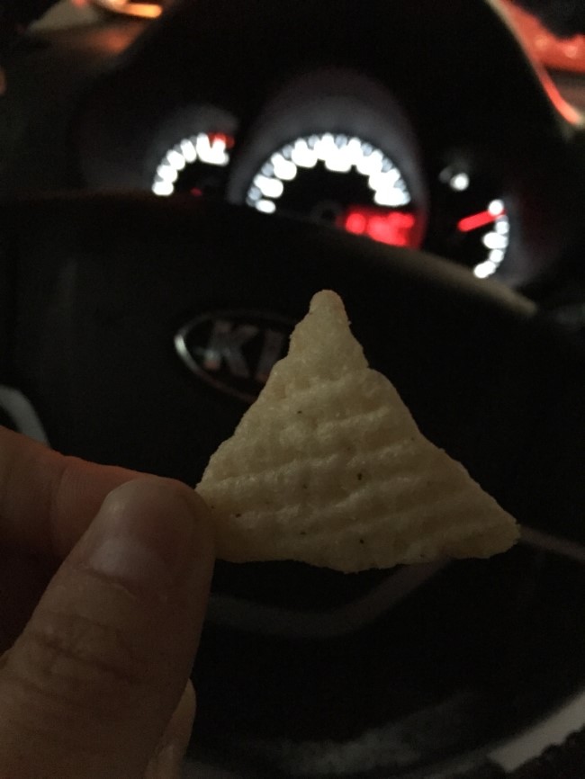 허니통통과 함께한 며니의 일상^^ 관련 이미지 4