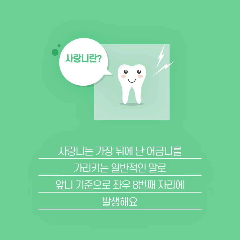 사랑니통증 참는게 좋은 것은 아니에요 관련 이미지 2