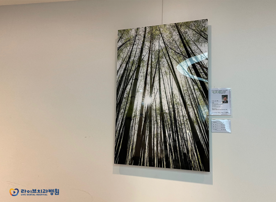 #봄#꽃#풍경#사진 전(展)｜라이브치과 부평예술인 후원캠페인 세번째 이야기 관련 이미지 4