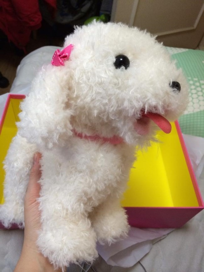 미국으로 선물을 보내요:) 관련 이미지 2