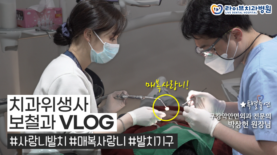 라이브치과 VLOG｜매복 사랑니 발치 과정과 필요한 발치기구, 보철과 일상vlog, 직장인 브이로그 관련 이미지 1