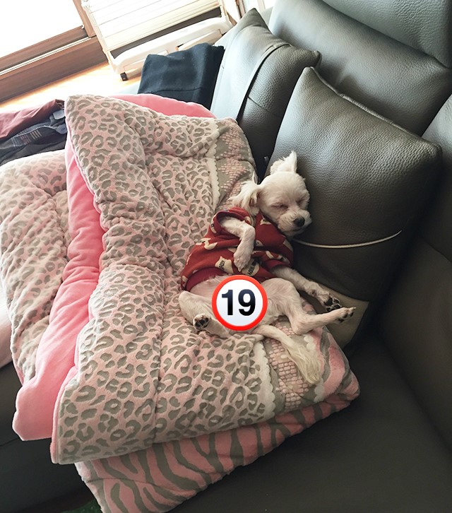 주말엔 아이라인과 빈둥빈둥 관련 이미지 3