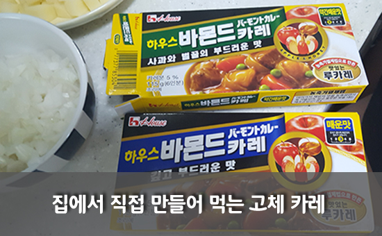 집에서 만들어 먹는 고체 카레! 관련 이미지 1
