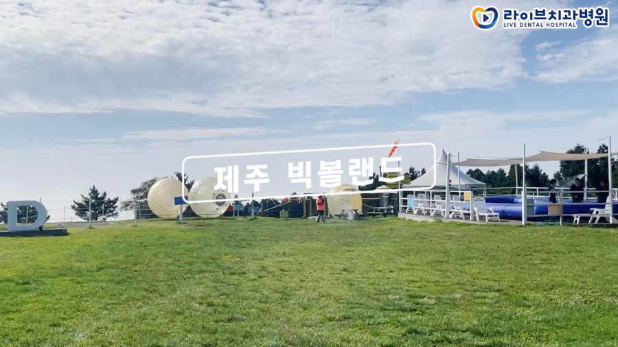 제주도 포상휴가는 빅볼체험으로 마무리![제주도여행 VLOG]ep.6｜치위생사 브이로그, 빅볼랜드, 전복요리 해녀의집, 새별오름, 제주액티비티 관련 이미지 2