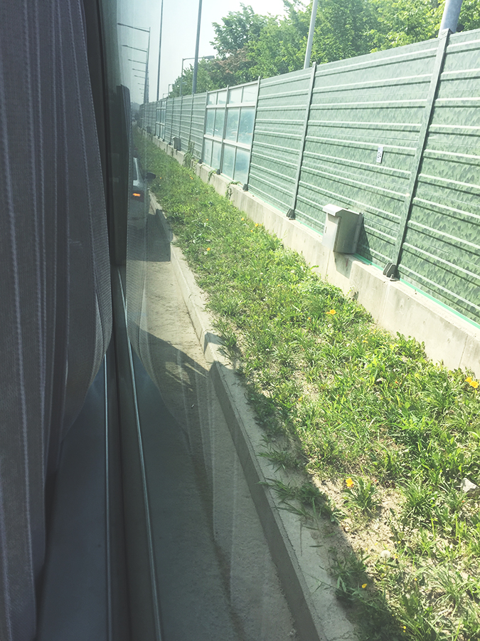 아침에는 교통사고, 저녁에는 빽다방 관련 이미지 1