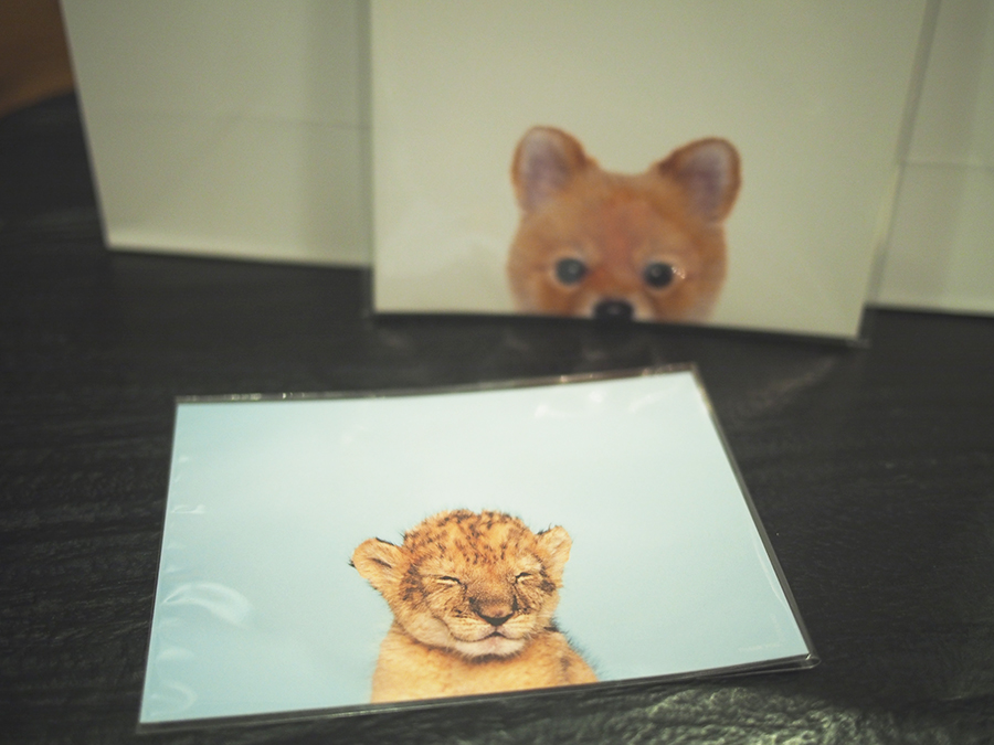 알베르에 탱크가 왔어욥! Thank you Store :) 관련 이미지 5