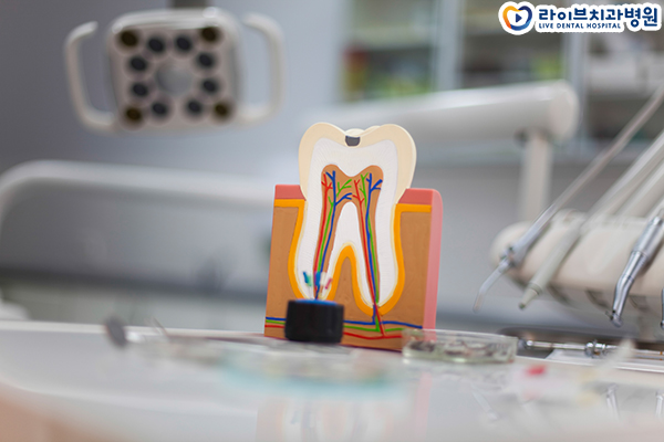 치아교정잘하는곳 처음부터 신중하게 관련 이미지 5