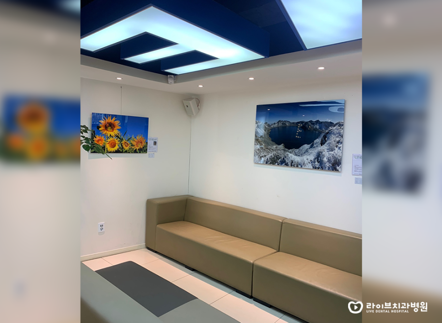 #봄#꽃#풍경#사진 전(展)｜라이브치과 부평예술인 후원캠페인 세번째 이야기 관련 이미지 3