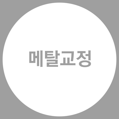 내구성과 비용을 잡는 메탈교정 관련 이미지 1
