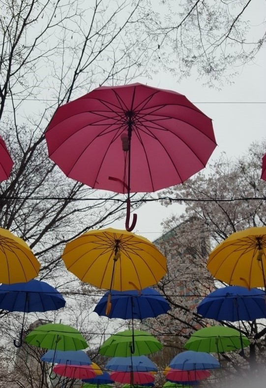 석촌호수 벚꽃축제를 처음으로 다녀왔습니다! 관련 이미지 5