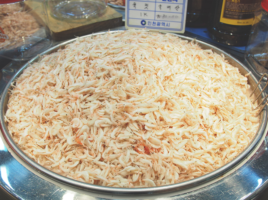 외포리에서는 새우젓 축제가 한창~ 새우파티! 관련 이미지 7