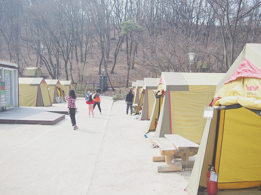 캠핑은 먹으려고 가는 거죠 관련 이미지 2