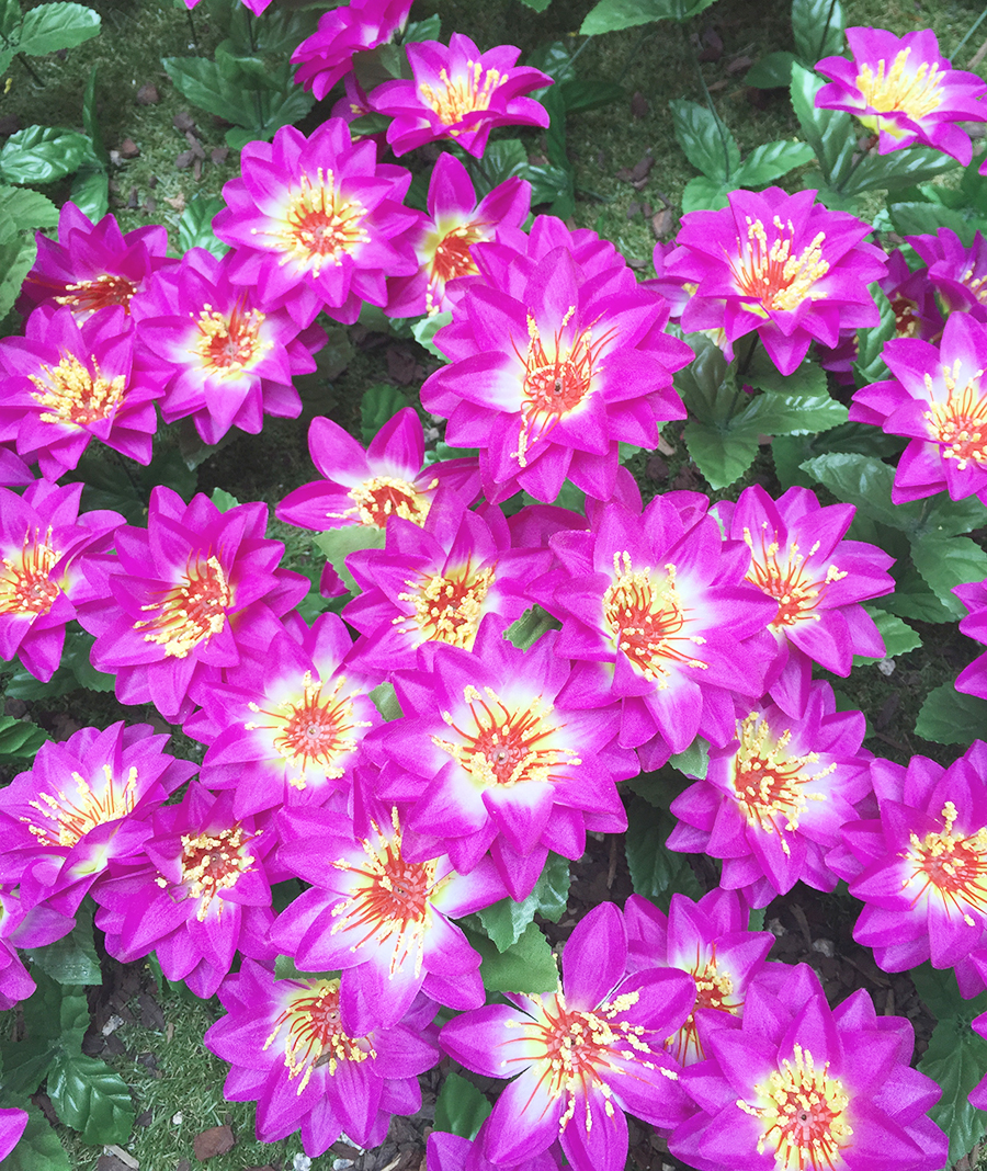 며니의 소소한 주말 이야기 관련 이미지 6