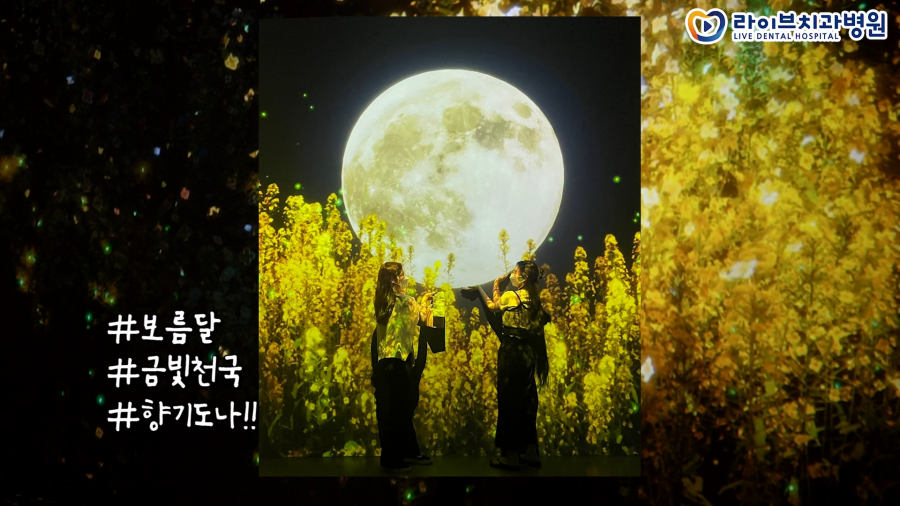 치과위생사 찐친들의 아르떼뮤지엄 관람기[제주 여행 VLOG🏝️]ep.05｜치위생사 브이로그 관련 이미지 4