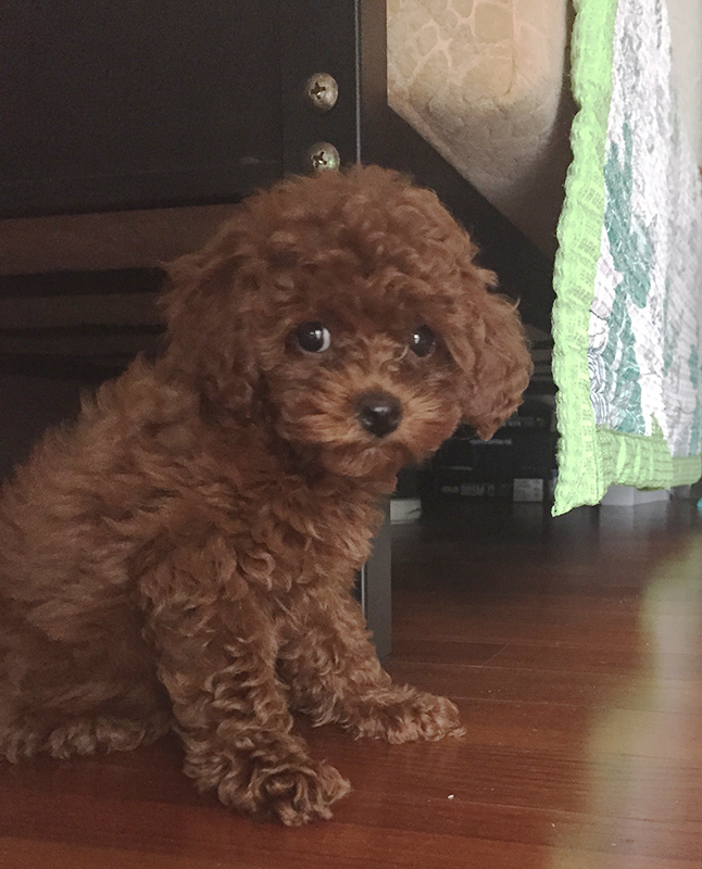 며니의 정말 소소하고 평범한 일상 관련 이미지 1